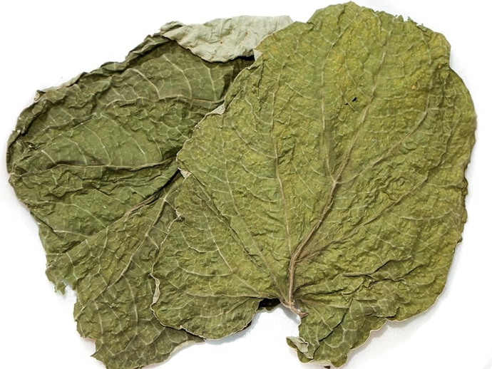 SHÔLO Dried Hoja Santa - Dried Piper Auritum