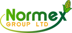 Normex Group HK