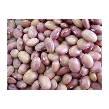 Load image into Gallery viewer, Frijol Flor de Mayo Crudo - Uncooked Mexican Beans
